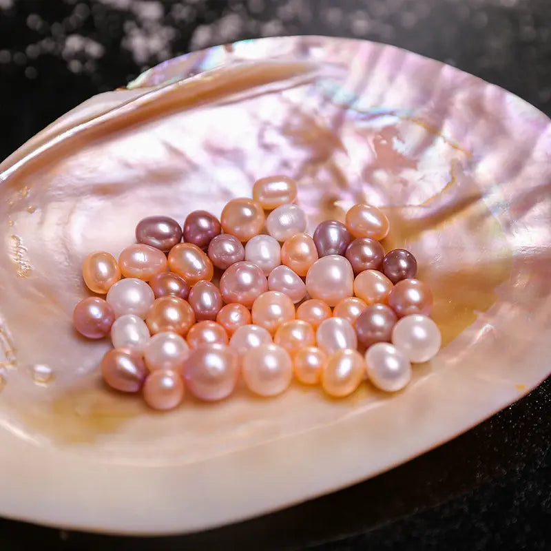 BIG Treasure Box ( Multi-pearls |10-15 pcs / 1 clam )