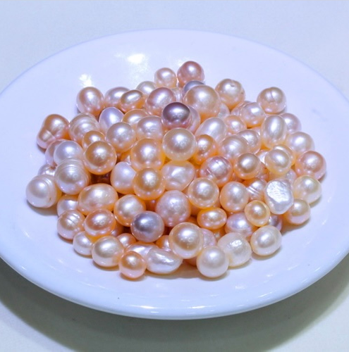 BIG Treasure Box ( Multi-pearls |10-15 pcs / 1 clam )