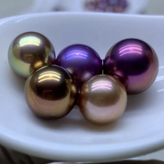 [Top level] King  ( Edison |1 pc / 1 clam | 9-14 mm )